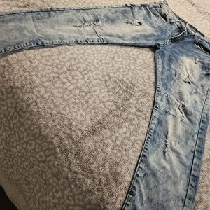 TR Premiem Distressed Jean